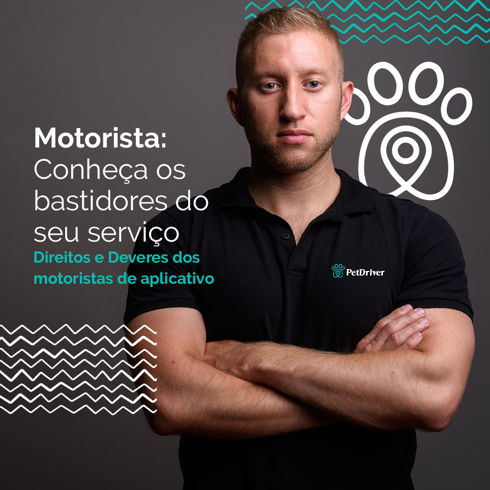 Motorista Entenda Os Seus Direitos E Deveres Como Motorista De