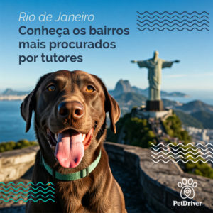 PET Rio de Janeiro 1000x1000