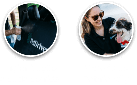 Higienização e Motoristas PetFriendly